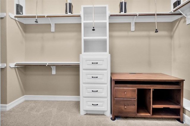 253 Capetown, Montgomery, TX 77356 - spacious closet with carpet