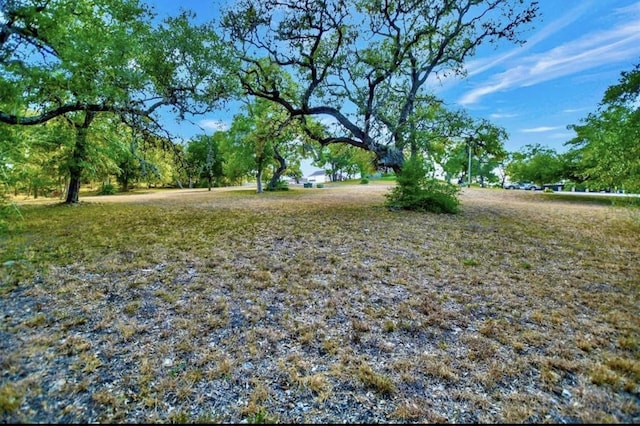 TBD Kathleen Ave, La Grange, TX 78945 - photo 3