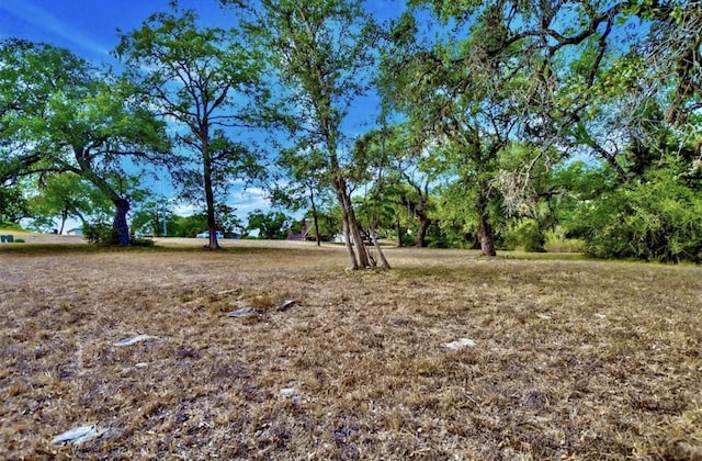 TBD Kathleen Ave, La Grange, TX 78945 - photo 4