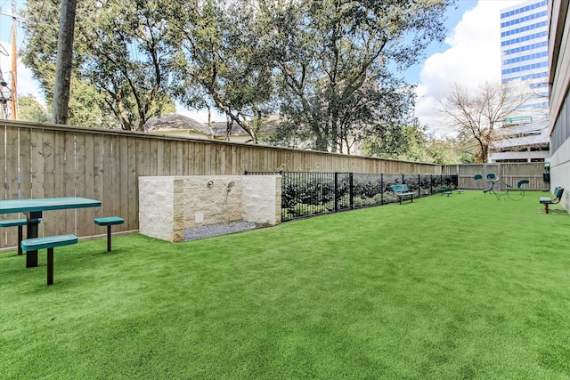 view of yard featuring a dog friendly area