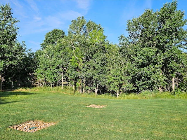170 Nuuanu Ln, Bastrop, TX 78602 - view of green lawn