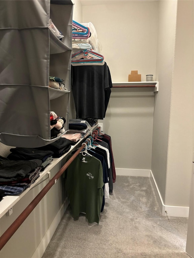 170 Nuuanu Ln, Bastrop, TX 78602 - spacious closet with carpet