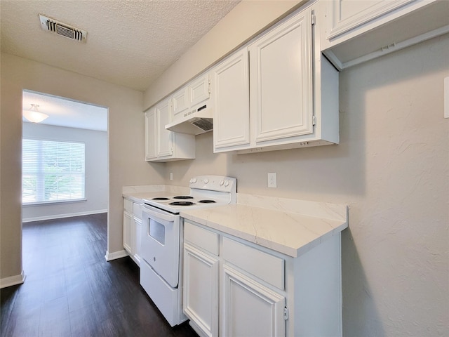 6722 Loch Bruceray Dr, Houston, TX 77084 - kitchen with white electric range, under cabinet range hood, dark wood-type flooring, light stone counters, and white cabinets