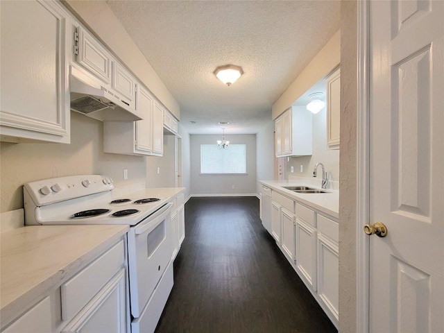 6722 Loch Bruceray Dr, Houston, TX 77084 - kitchen featuring white electric range, a sink, under cabinet range hood, light countertops, and dark wood-type flooring
