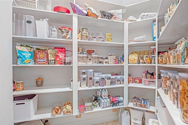 view of pantry