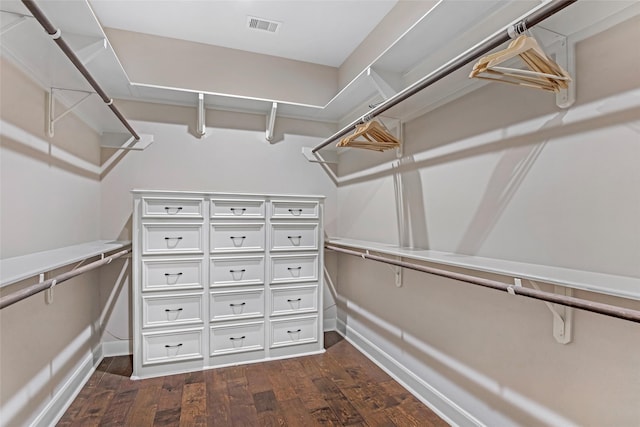 spacious closet with dark wood finished floors