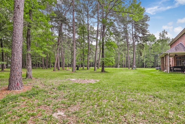 view of grassy yard