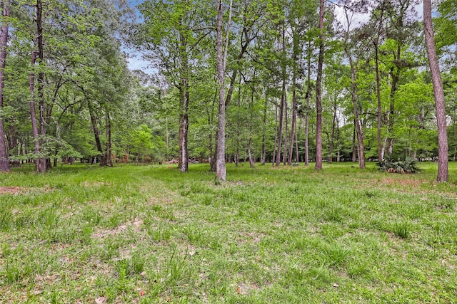 view of yard with a wooded view