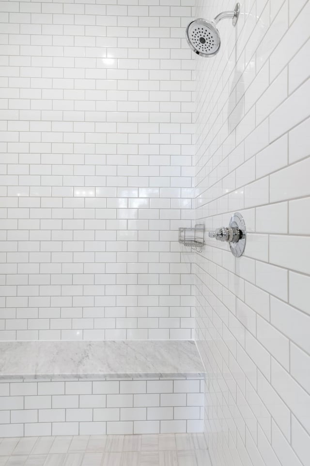 19720 Holly Creek Bnd, Magnolia, TX 77355 - bathroom view of tiled shower