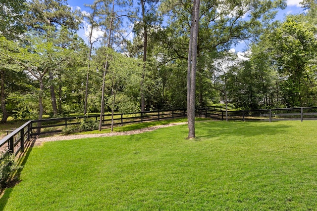 19720 Holly Creek Bnd, Magnolia, TX 77355 - view of yard
