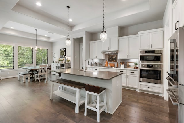 19720 Holly Creek Bnd, Magnolia, TX 77355 - kitchen featuring a tray ceiling, stainless steel appliances, a sink, tasteful backsplash, and recessed lighting