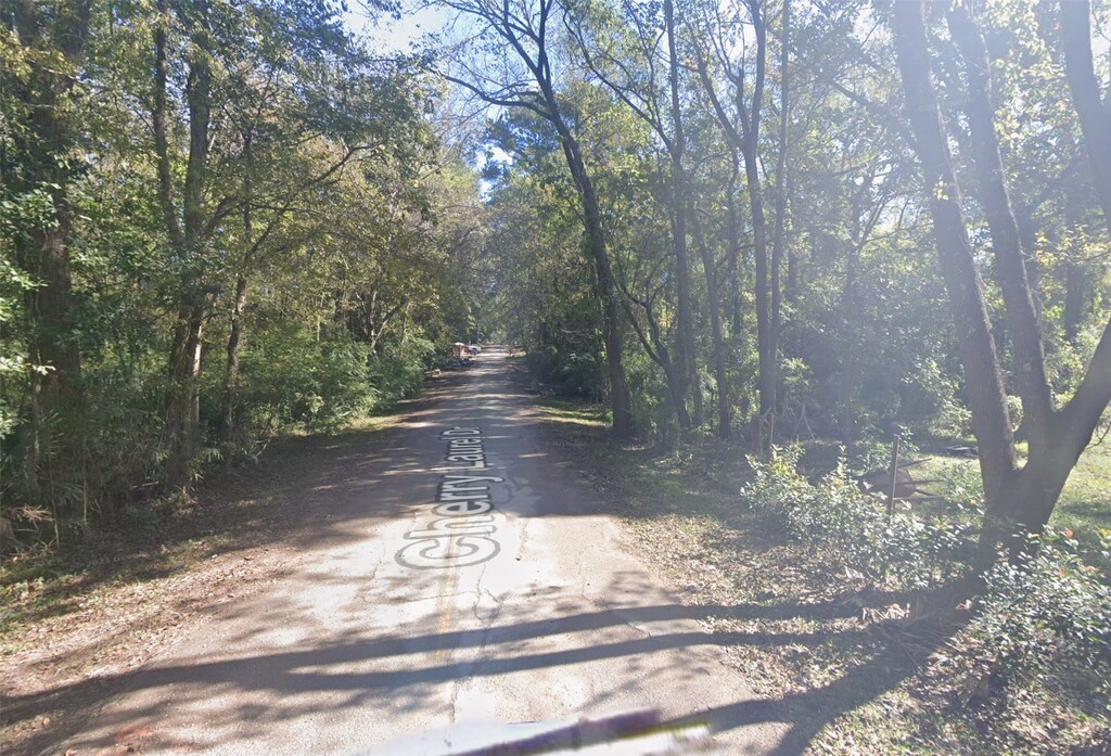 120 Cherry Laurel St, Huffman, TX 77336 - photo 1