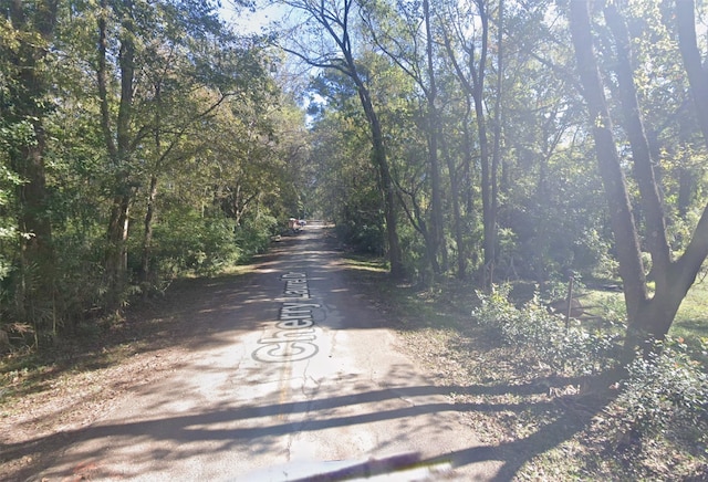 120 Cherry Laurel St, Huffman, TX 77336 - photo 1