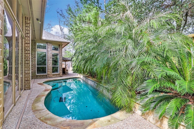23335 Robinson Pond Dr, New Caney, TX 77357 - view of swimming pool