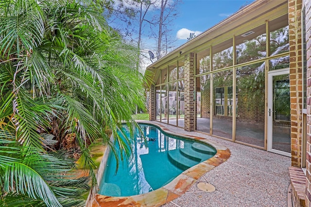 23335 Robinson Pond Dr, New Caney, TX 77357 - swimming pool featuring a patio and a sunroom