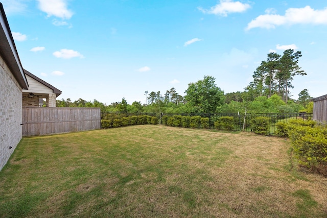 17786 Tree Of Heaven, Conroe, TX 77385 - view of yard