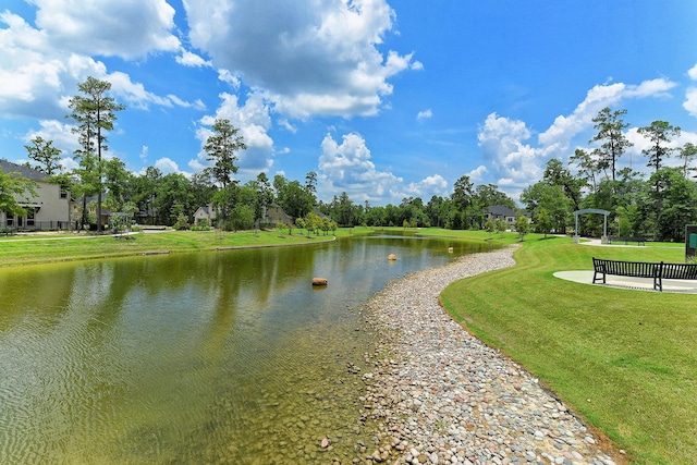 17786 Tree Of Heaven, Conroe, TX 77385 - view of property's community with a water view and a yard