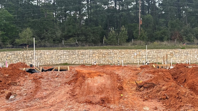 12339 Ridge Top Ct, Conroe, TX 77304 - view of yard with a forest view