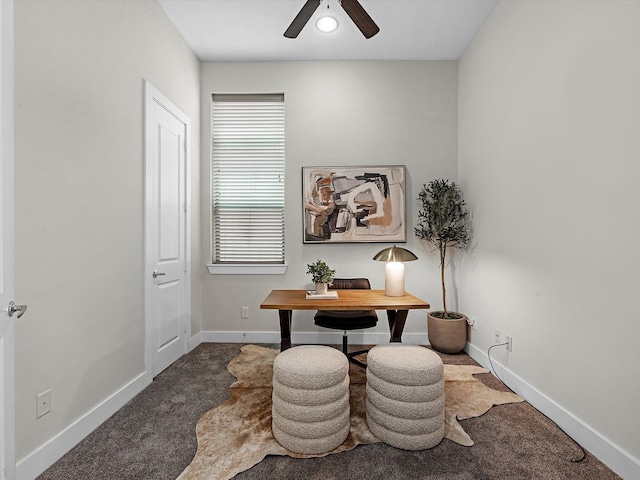 110 N Hutcheson St, Houston, TX 77003 - home office with carpet floors, ceiling fan, and baseboards