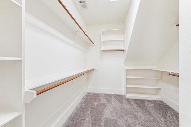 11405 Starlight Bay St, Pearland, TX 77584 - walk in closet with carpet floors