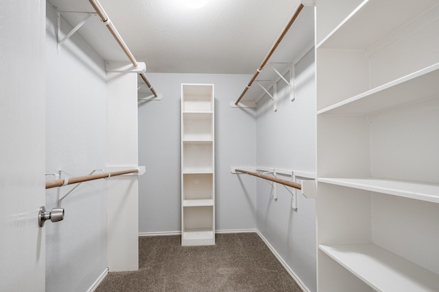 4523 Bridgevillage Dr, Spring, TX 77373 - walk in closet featuring carpet
