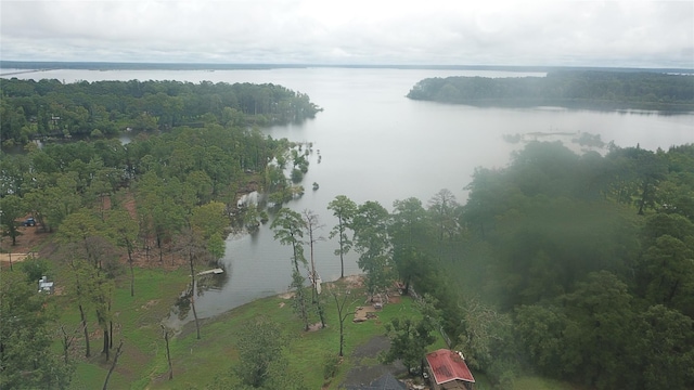 195 Lakeside Dr, Zavalla, TX 75980 - photo 5
