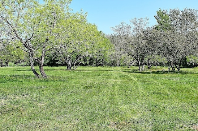 TBD Scott Rd, Weimar, TX 78962 - photo 1
