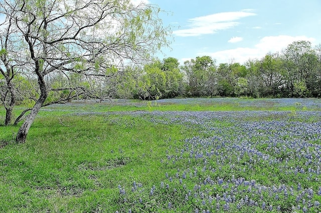 TBD Scott Rd, Weimar, TX 78962 - photo 7