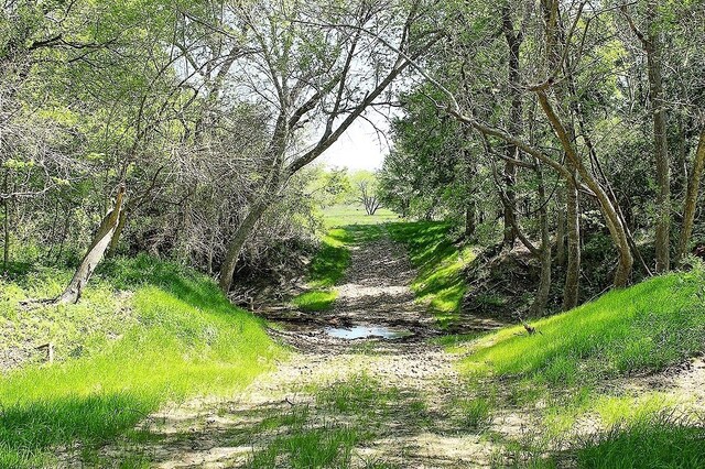 TBD Scott Rd, Weimar, TX 78962 - photo 9