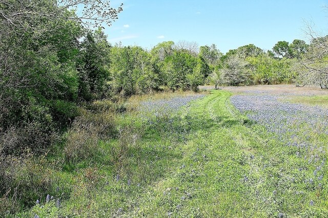 TBD Scott Rd, Weimar, TX 78962 - photo 10