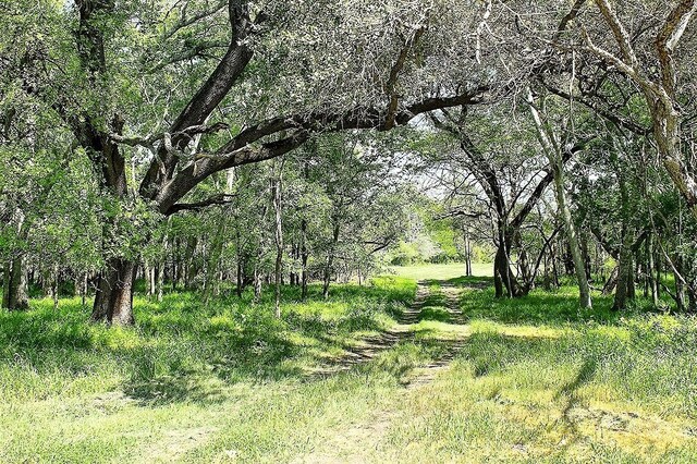 TBD Scott Rd, Weimar, TX 78962 - photo 11