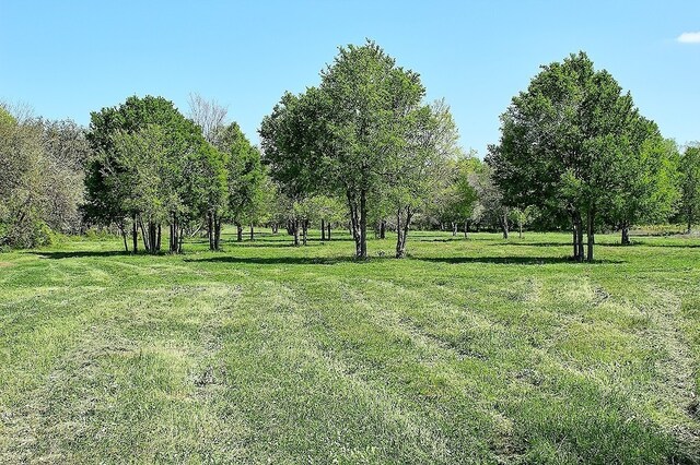 TBD Scott Rd, Weimar, TX 78962 - photo 12