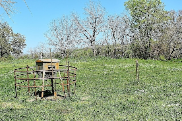 TBD Scott Rd, Weimar, TX 78962 - photo 15