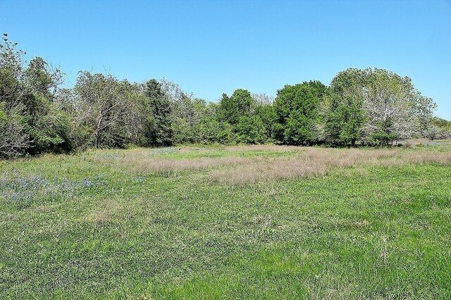 TBD Scott Rd, Weimar, TX 78962 - photo 16
