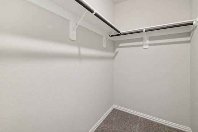 15863 Sundew Prairie Dr, Humble, TX 77346 - walk in closet with carpet flooring