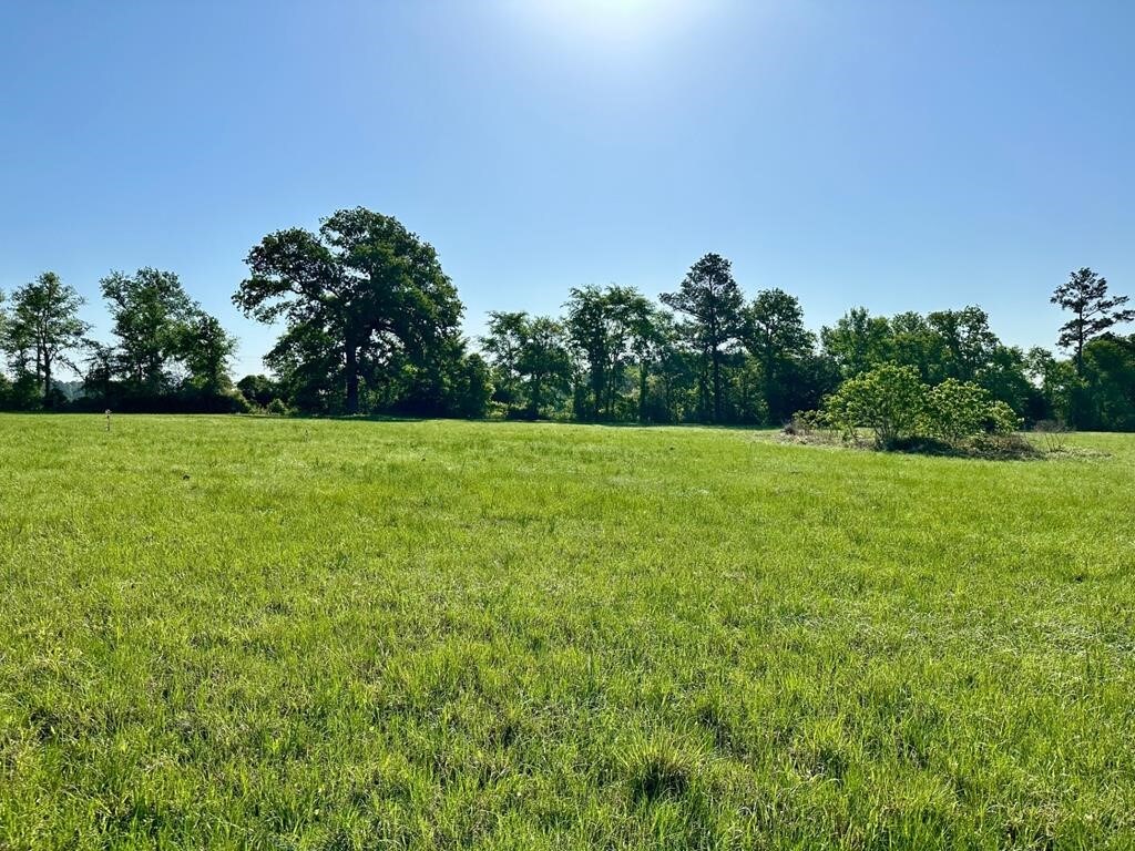 001 Sullivan Rd, Apple Springs, TX 75926 - photo 3