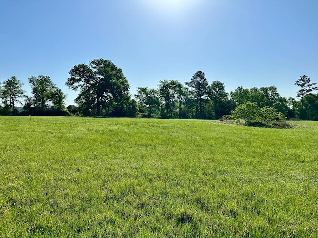 001 Sullivan Rd, Apple Springs, TX 75926 - photo 3