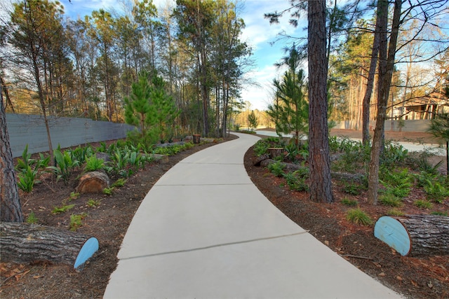 17016 Sweet Iris Ct, Conroe, TX 77302 - view of surrounding community