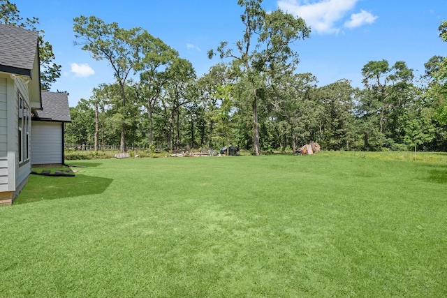 16709 W Rayburn Dr, Conroe, TX 77302 - view of green lawn