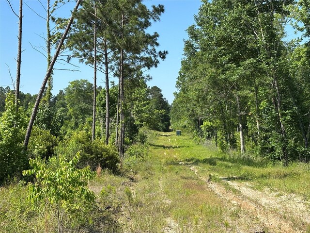 TBD Highway 190, Oakhurst, TX 77359