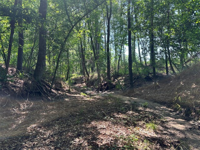 TBD Highway 190, Oakhurst, TX 77359