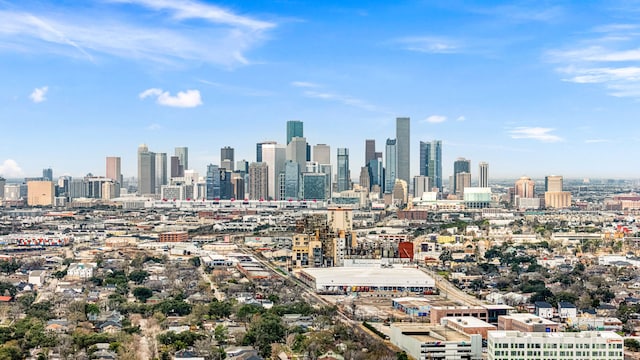 747 Dumble St, Houston, TX 77023 - view of city skyline
