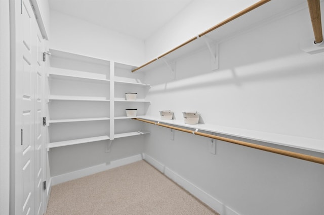 5814 Highland Sky Ln, Houston, TX 77091 - walk in closet with light carpet