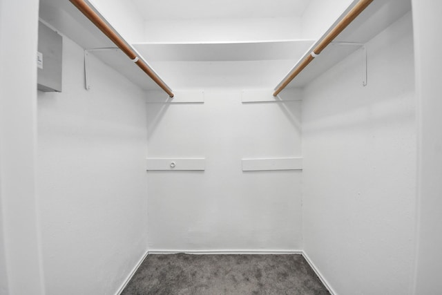 2026 Hickory Glen Dr, Missouri City, TX 77489 - spacious closet featuring carpet