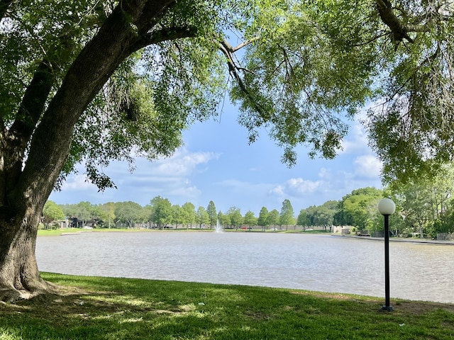 2711 Grants Lake Blvd Unit 203, Sugar Land, TX 77479 - water view