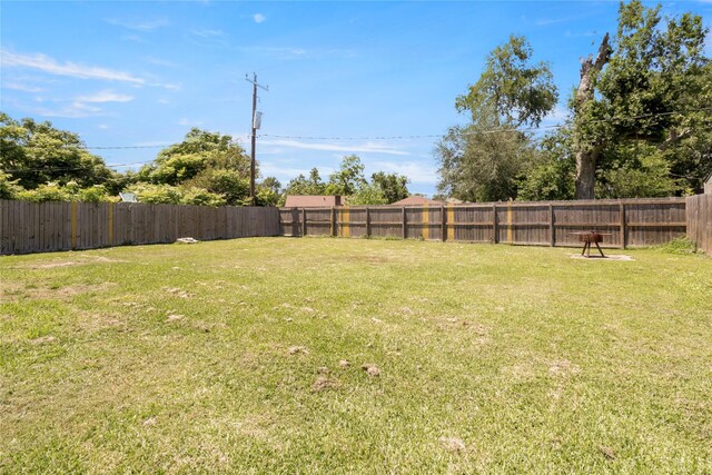 view of yard