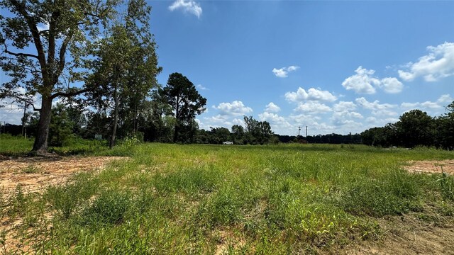 10582 State Highway 146 S, Livingston, TX 77351 - photo 8