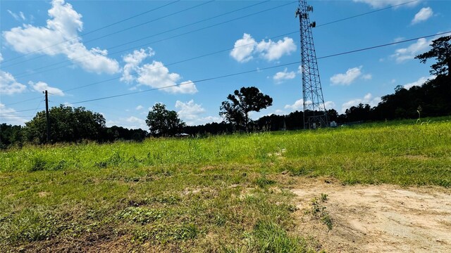 10582 State Highway 146 S, Livingston, TX 77351 - photo 9