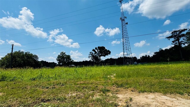 10582 State Highway 146 S, Livingston, TX 77351 - photo 12