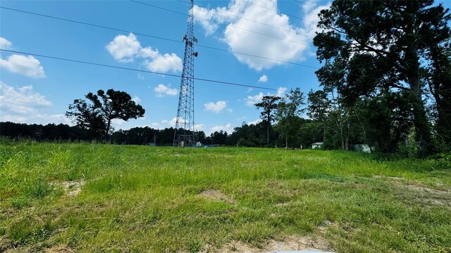10582 State Highway 146 S, Livingston, TX 77351 - photo 15